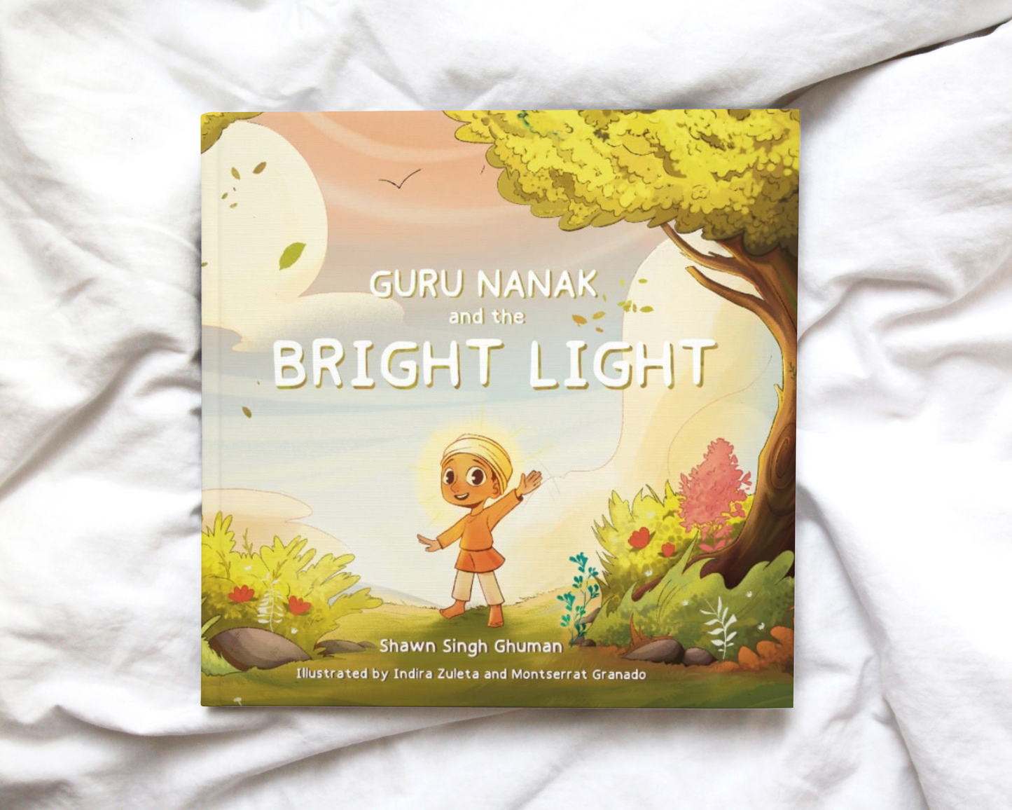 Guru Nanak and the Bright Light